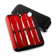 5 Pcs Dental Scraper Remover Tools Mirror Scaler Set Calculus Plaque Sets Adult