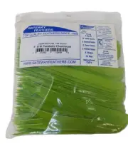 100 Pack Gateway Feathers 5" Right Wing: Parabolic Chartreuse Green 500RPSCH-100