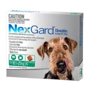 NexGard for Medium Dogs 10 - 25kg Green Flea & Tick Treatment Tasty Chew 6 pack