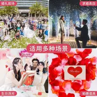 在飛比找Yahoo!奇摩拍賣優惠-結婚婚房布置裝飾假花求婚 玫瑰仿真花瓣手撒花浪漫生日床上婚禮