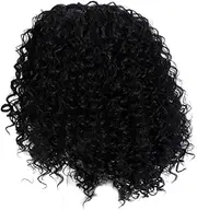Curly Wigs For Black Women 13.8 Inch Lifelike Curly Wigs for Black Women Easy to Use Short Wigs Easy Care Black Short Curly Wig for Adult Party Daily Use