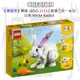 【磚星球】樂高 LEGO 31133 創意三合一系列 白兔 White Rabbit