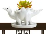 Likeread Succulent Pots,Dinosaur Succulent Planters,Cute Animal Planters,Small C