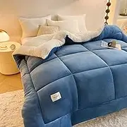 Sherpa Fleece Comforter Queen, Fluffy Fuzzy Shaggy Bedding, Reversible Down Alternative Comforter and Duvet Insert, All-Season Comforter, Box Stitched Comforter (A 220x240cm(5kg))