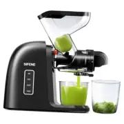 Slow Masticating Juicer, 3-inch Wide Chute, Cold Press Juicer for Celery,