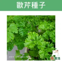 在飛比找Yahoo!奇摩拍賣優惠-～全館滿790免運～歐芹 荷蘭芹 義大利香芹 巴西利 巴西里