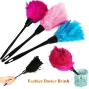 Washer Anti-static Cleaner Plastic Handle Turkey Feather Duster Home Cleaning