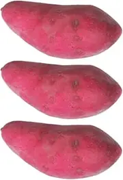 Vaguelly 3pcs Lifelike Artificial Sweet Potato Models Realistic Fake Vegetables for Home Decor School Education
