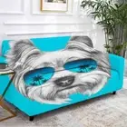 Blue Cat Trimming Stretch Sofa Cover Lounge Couch Slipcover Recliner Protector