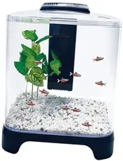 NuWave Betta Fish Tank Kit with LED Light and Internal Filter – Black – 1.5