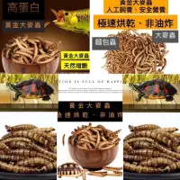 在飛比找蝦皮購物優惠-「動力水族」黃金大麥蟲乾 乾燥大麥蟲 蠅蛆 鳳凰蟲 乾燥麵包