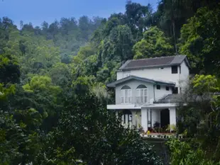 康提格倫森林小屋Forest Glen - Kandy Bungalow