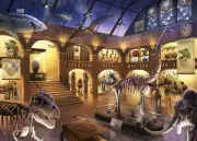 Ravensburger Escape Puzzle Kids: Museum Mysteries 300 Piece Jigsaw Puzzle