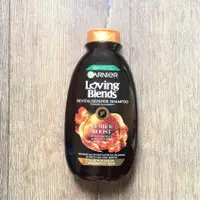 在飛比找蝦皮購物優惠-法國製 Garnier Ginger Honey Boost