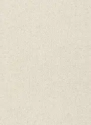Sochi Ivory Textured Rug