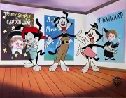 Warner Bros ANIMANIACS Sericel Animation Cartoon Art Cel 11" x 14"