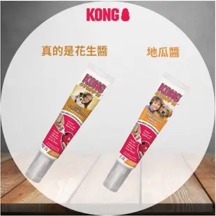 【KONG】美國《滾食不倒翁玩具PW2》互動狗狗玩具 可放置零食 S號/L號 寵物玩具