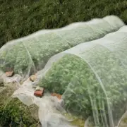 2x Anti-Insect Net Mesh Tunnel Kit Plant Veggie Protection Bird Animal 1.6x4m