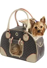 Royal Want Lucky Dog Cat Pet Travel Carrier