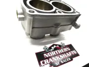 POLARIS SPORTSMAN 800 CYLINDER NEW 2008-17 OEM 2203911