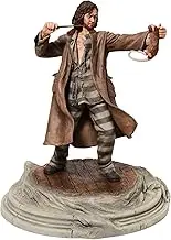 Enesco Wizarding World of Harry Potter Sirius Black Holding Wormtail Figurine, 8.75 Inch, Multicolor