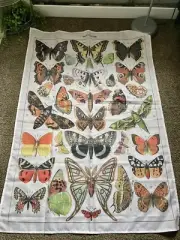 Papillon Butterfly Tapestry