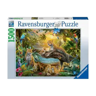 【Ravensburger】維寶拼圖 叢林裡的花豹 1500片