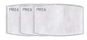 12 Pack Adult PM 2.5 with activated carbon mask filter replacements