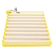 Fully Automatic Egg Incubation Tray Household Egg Incubator Tray For Chicken
