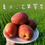 【台灣紅】屏東枋山愛文芒果10斤X1箱(10-12顆/10斤±10%/箱_巨無霸_在欉紅_外銷等級)