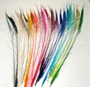100 Peacock Sword Feathers 25- 35" L Bleached & Dyed 21 colors available