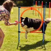 Pet Dog Jump Ring Puppy Agility Hoop Equipment Interactive Toys Exercise Training