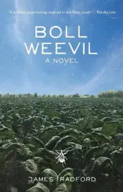 Boll Weevil by James Radford (English) Paperback Book