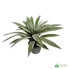 Artificial Fake Plants Flax Leaf Plant potted real-touch 35cm