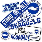 Desert Cactus Brighton & Hove Albion Sticker BHAFC Seagulls Football Club Decal Vinyl Laptop Water Bottle Car Scrapbook Official Fan Gear T2 (Type 2-4)