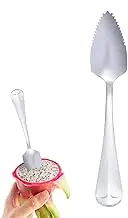 Grapefruit Spoons,Long Handle Stainless Steel Serrated Spoon | Tableware Utensil Kitchen Gadget for Fruit, Scooping Ice Cream or Stirring Drinks