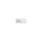 LUX #10 Double Window Envelope 4 1/8" x 9 1/2" White 250/Pack WS-3342-250