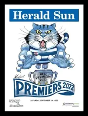 MARK KNIGHT FRAMED OFFICIAL 2022 GEELONG FC AFL GRAND FINAL PREMIERS SELWOOD