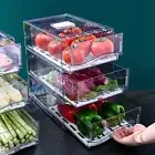 1pc Kitchen Refrigerator Storage Box Drawer Type Eggs And Meat Food Frozen