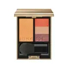 Kanebo Lunasol Fusing Color Palette EX02 Mellow Tempo