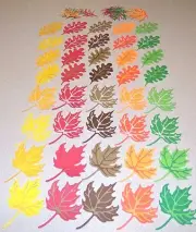 Leaf Die Cuts Maple Leaf & Oak Leaf 9 colors 2 designs 80pc Handmade Free Ship