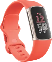 Fitbit Charge 6 -Coral/Champagne Gold Aluminium