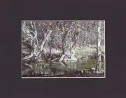 8X10" Matted Print Western Art Picture: Bill Atkins, East Verde River