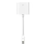 Apple Mini DisplayPort to DVI Adapter-INT