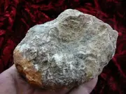 (DF843-104) Fossil REAL DINOSAUR POOP Coprolite scat Dino Valley Utah DUNG Poo