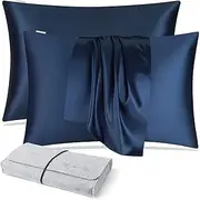 DISANGNI 100% Natural Mulberry Silk Pillow case for Hair and Skin with Hidden Zipper 22 Momme Both Sides Real Silk Pillow Case (2pc Standard Size 20" x26", Blue)