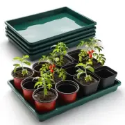 5 Pack Seed Starter Trays (17"x11"x2"), Plastic Flat Holding Trays-5P Green