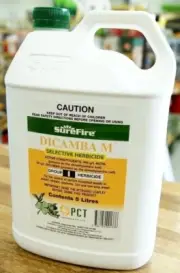 Surefire Dicamba M Selective Herbi cide We ed Kill er 5 Litre, Clear