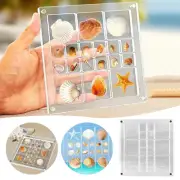 Acrylic Magnetic Seashell Display Box Acrylic Shell Box Magnetic Buckle