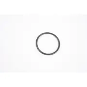 Vulcan Hart 0023398200001 Boiler Heater Seal O Ring